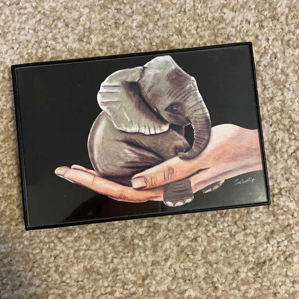Elephant Picture 4x6